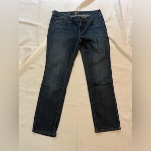 ANN TAYLOR LOFT 10p MODERN STRAIGHT JEANS